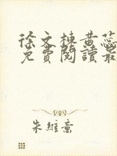 徐文栋黄蕊小说免费阅读最新章节封面