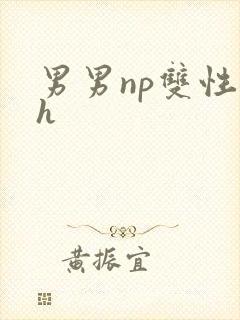 男男np双性高h封面