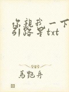 你亲我一下by引路星txt