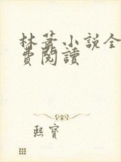 林萧小说全集免费阅读封面