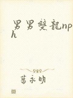男男双龙np高h