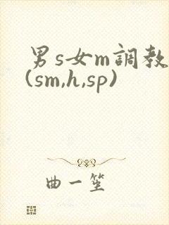 男s女m调教文(sm,h,sp)