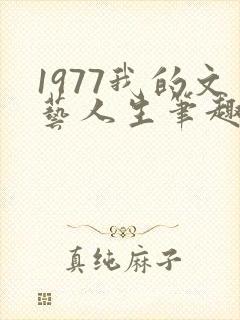 1977我的文艺人生笔趣阁
