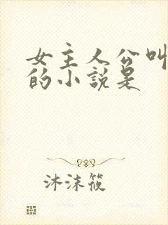 女主人公叫苏晴的小说是