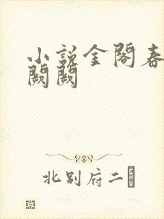 小说金阁春事华阙阙