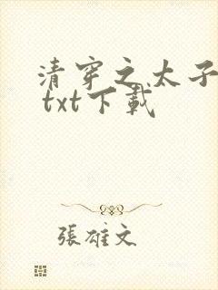清穿之太子娇妃 txt下载