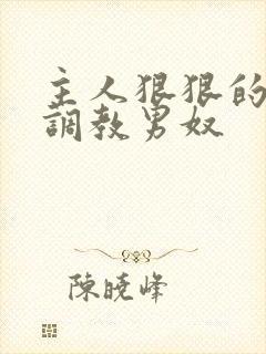 主人狠狠的惩罚调教男奴