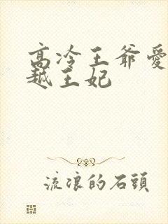 高冷王爷爱上穿越王妃