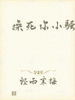 操死你小骚货h