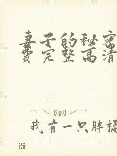 妻子的秘密4免费完整高清电视剧在线封面