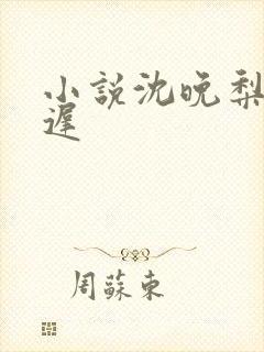 小说沈晚梨谢云迟封面