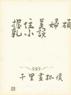 握住美妇硕大双乳小说封面