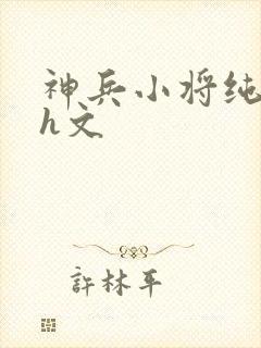 神兵小将纯肉高h文
