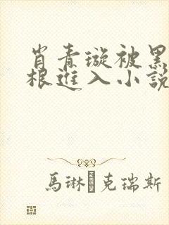 肖青璇被黑人五根进入小说
