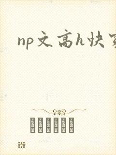 np文高h快穿封面