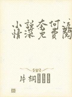 小说奈何流年枉情深免费阅读