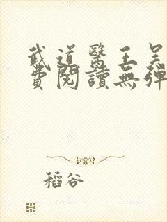 武道医王吴东免费阅读无弹窗全文
