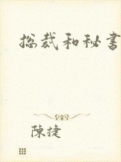 总裁和秘书小说