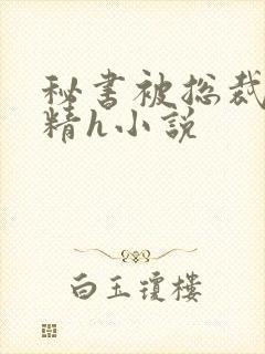 秘书被总裁灌浓精h小说