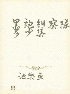 黑袍纠察队一季多少集
