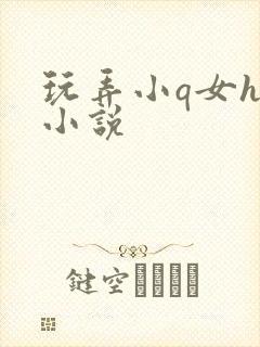 玩弄小q女h文小说