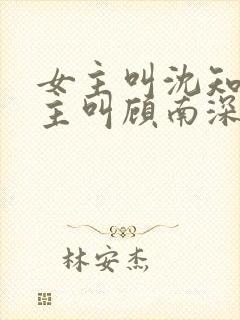 女主叫沈知意男主叫顾南深