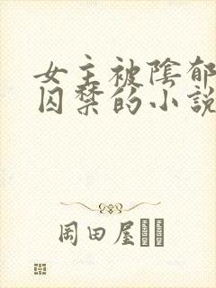 女主被阴郁疯批囚禁的小说封面