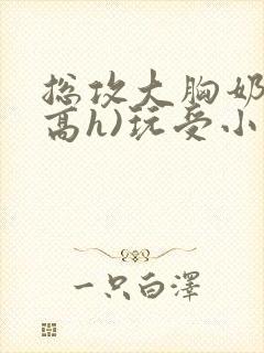 总攻大胸奶汁(高h)玩受小说