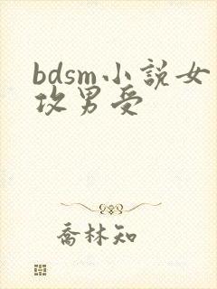 bdsm小说女攻男受