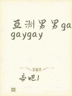 亚洲男男gaygaygay