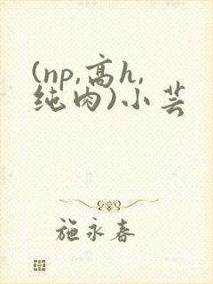 (np,高h,纯肉)小芸