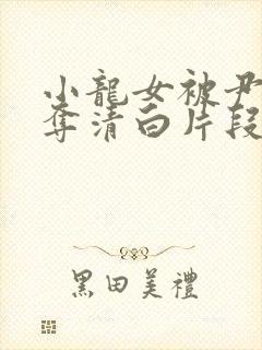 小龙女被尹志平夺清白片段