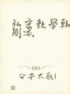 私密教学韩漫未删减