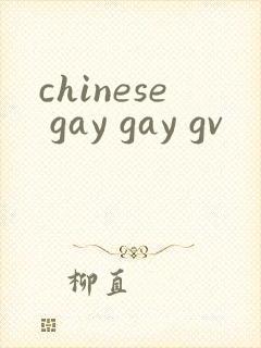 chinese gay gay gv