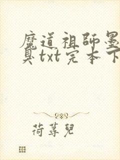 魔道祖师墨香铜臭txt完本下载