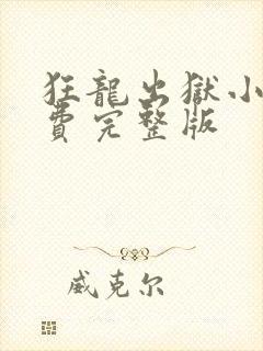 狂龙出狱小说免费完整版封面