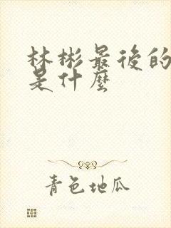 林彬最后的结局是什么封面