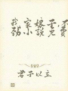 我家娘子,不对劲小说免费封面