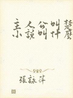 主人公叫楚尘的小说叫什么名字