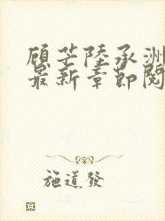 顾芒陆承洲小说最新章节阅封面
