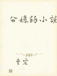 公媳的小说