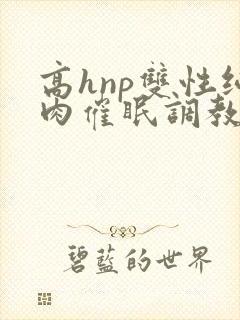 高hnp双性纯肉催眠调教