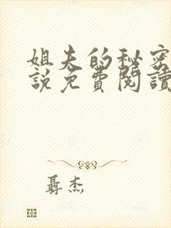 姐夫的秘密,小说免费阅读封面