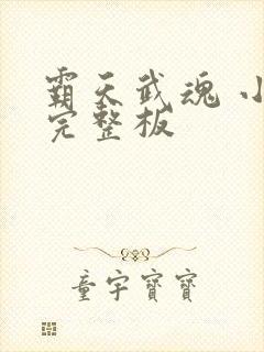 霸天武魂 小说完整板