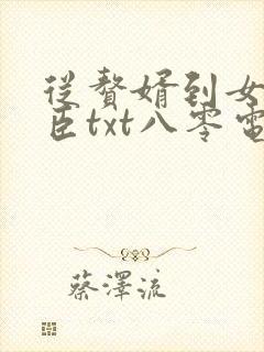 从赘婿到女帝宠臣txt八零电子书