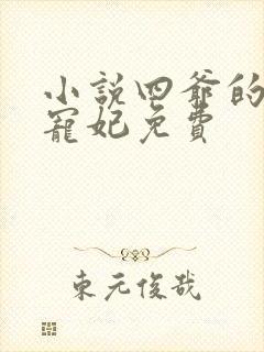 小说四爷的心尖宠妃免费封面