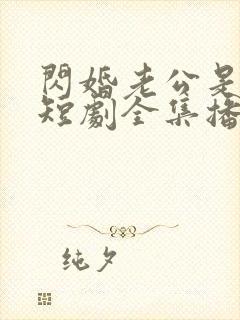 闪婚老公是总裁短剧全集播放