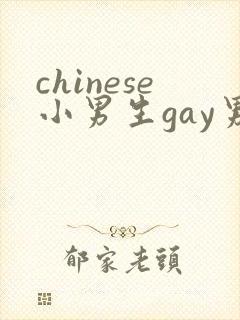 chinese小男生gay男男网站