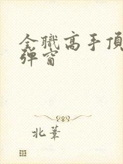 全职高手顶点无弹窗