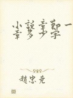 小说章节一般一章多少字